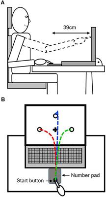 Target Uncertainty During Motor Decision-Making: The Time Course of Movement Variability Reveals the Effect of Different Sources of Uncertainty on the Control of Reaching Movements